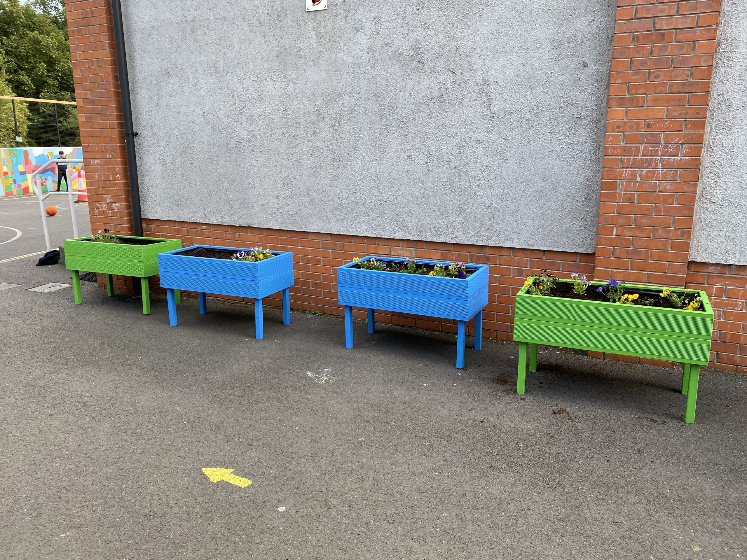 Nature in G.N.S. All Classes planted Winter Lettuce & Shrubs in their class planters!